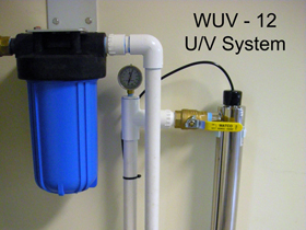 Click to View Larger Image