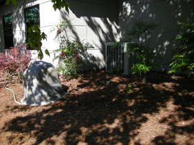 Click to View Larger Image