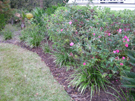 Click to View Larger Image