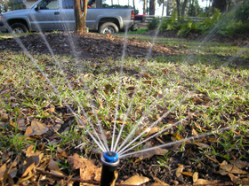 Click to View Larger Image