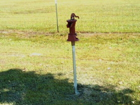 Click to View Larger Image