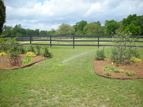 Click to View Larger Image