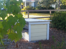 Click to View Larger Image