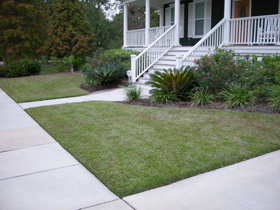 Click to View Larger Image