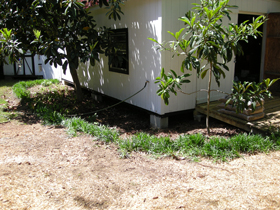 Click to View Larger Image