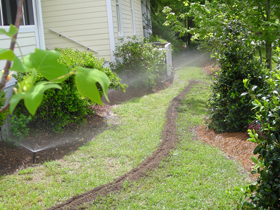 Click to View Larger Image