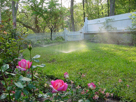 Click to View Larger Image